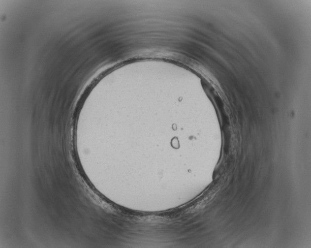 X0000083990992200703161618