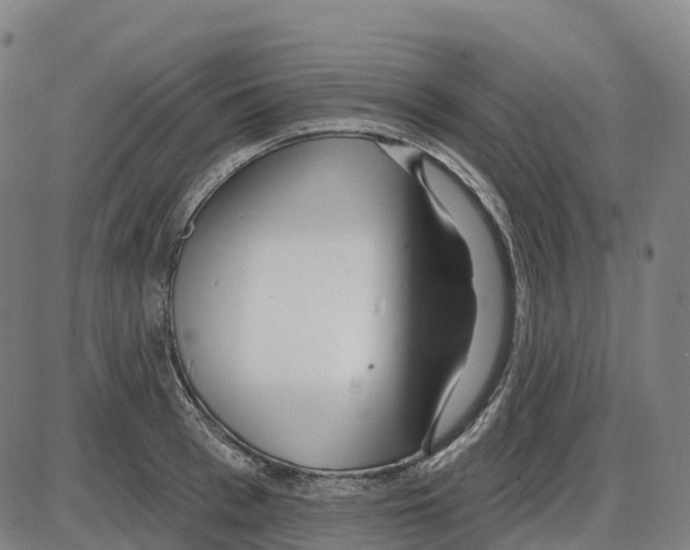 X0000083990993200703161618