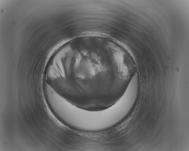 X0000083990995200703161618