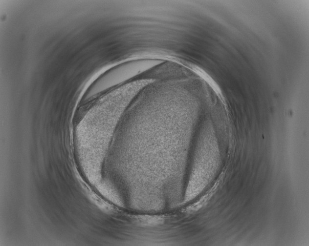 X0000083990996200703161618