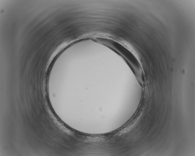 X0000083990997200703161618