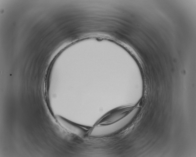 X0000083990999200703161618