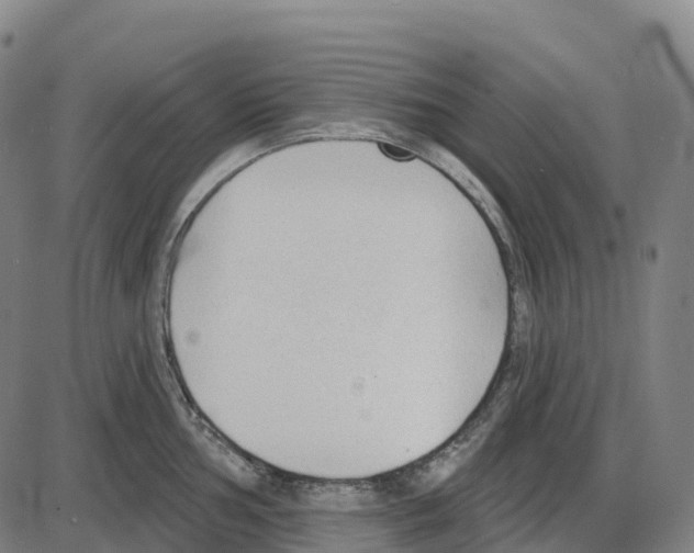 X0000083991002200703161618