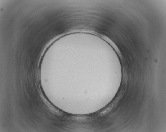 X0000083991004200703161618