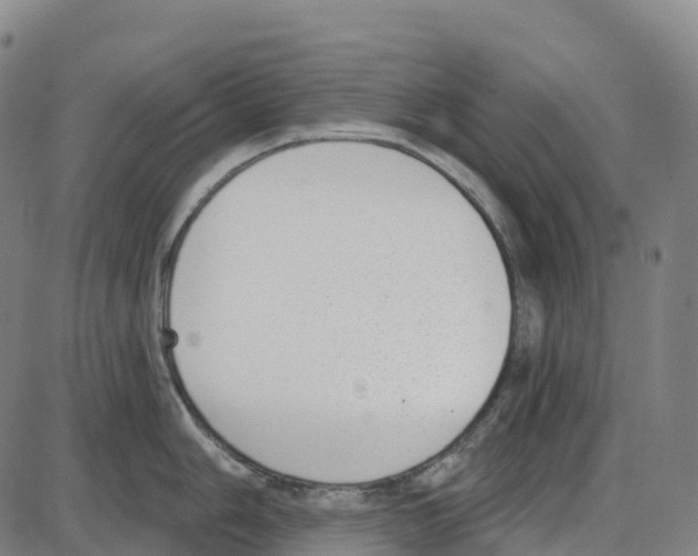 X0000083991006200703161618