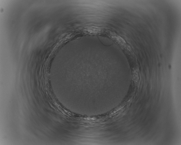 X0000083991009200703161617