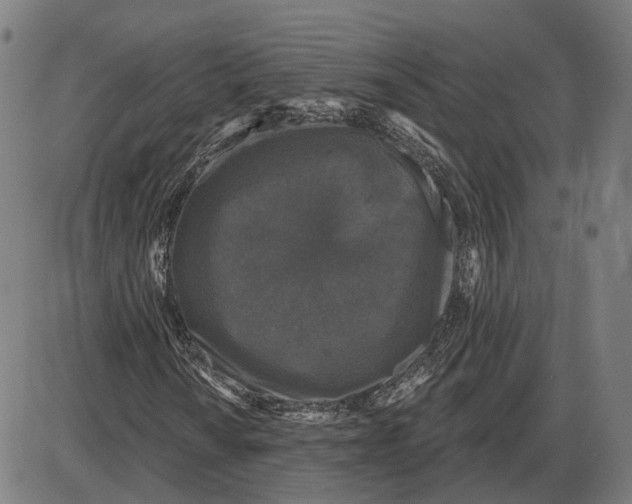 X0000083991010200703161617