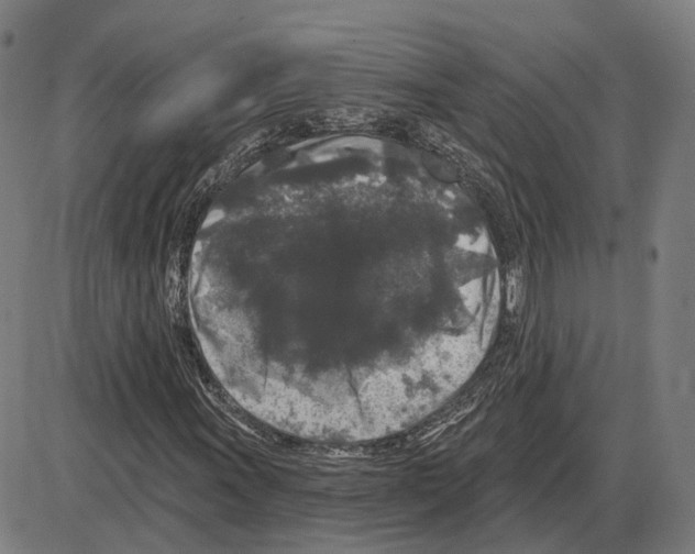 X0000083991011200703161617