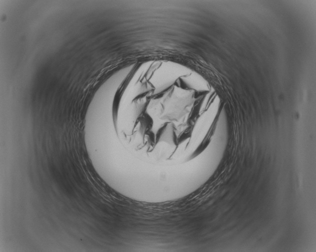 X0000083991012200703161617