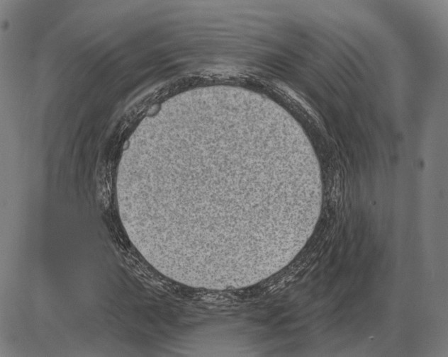 X0000083991015200703161617