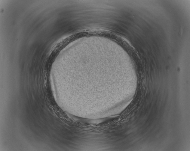 X0000083991016200703161617