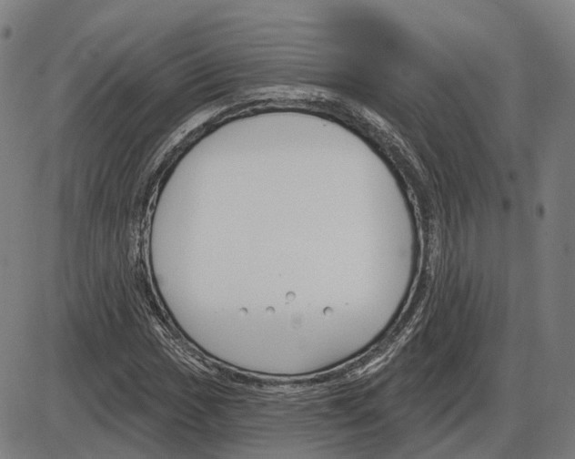 X0000083991017200703161617