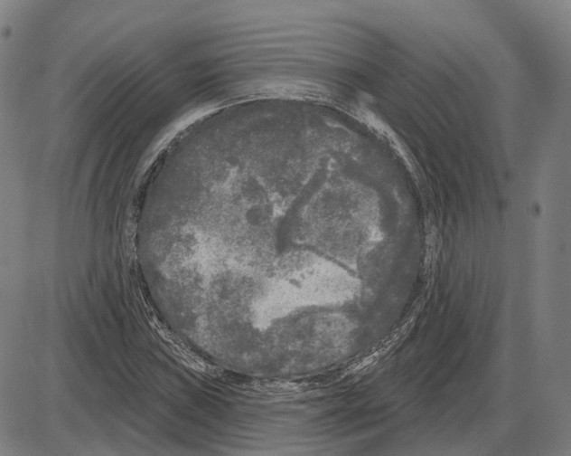 X0000083991019200703161617