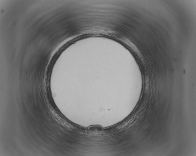 X0000083991020200703161617