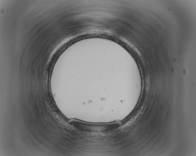 X0000083991021200703161617