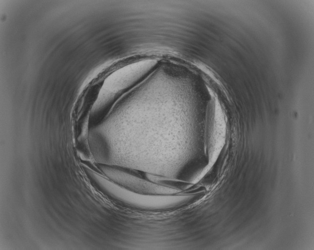 X0000083991022200703161617