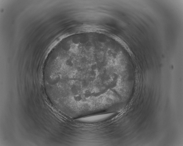 X0000083991023200703161617