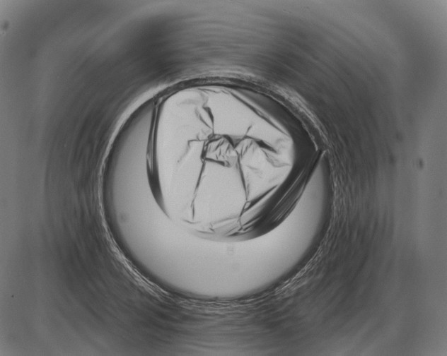 X0000083991024200703161617