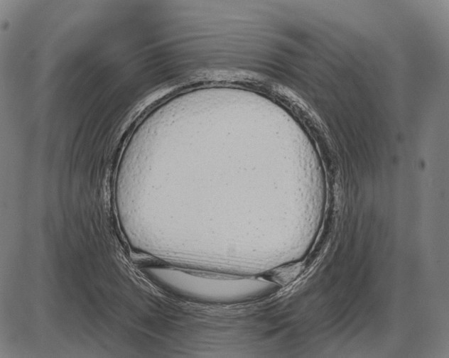 X0000083991025200703161617