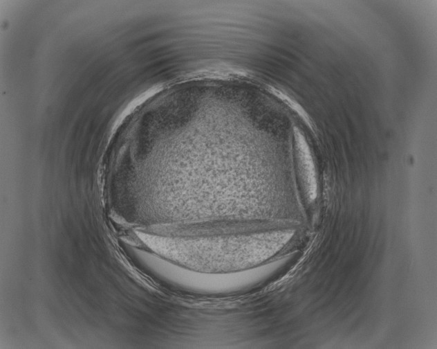 X0000083991026200703161617