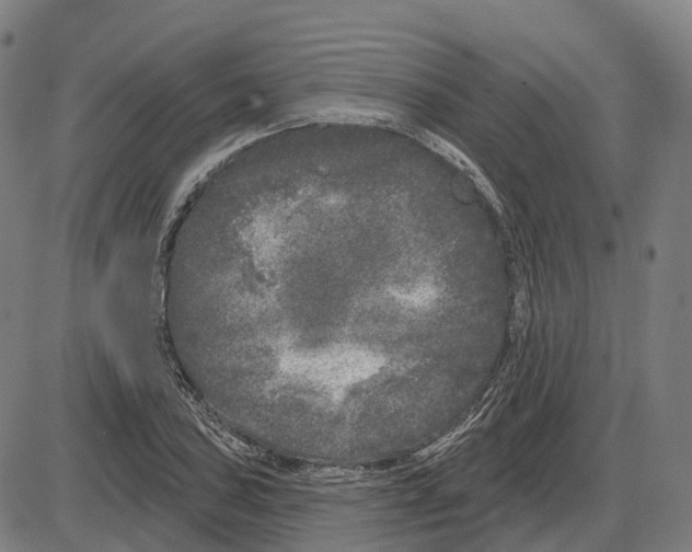 X0000083991027200703161617