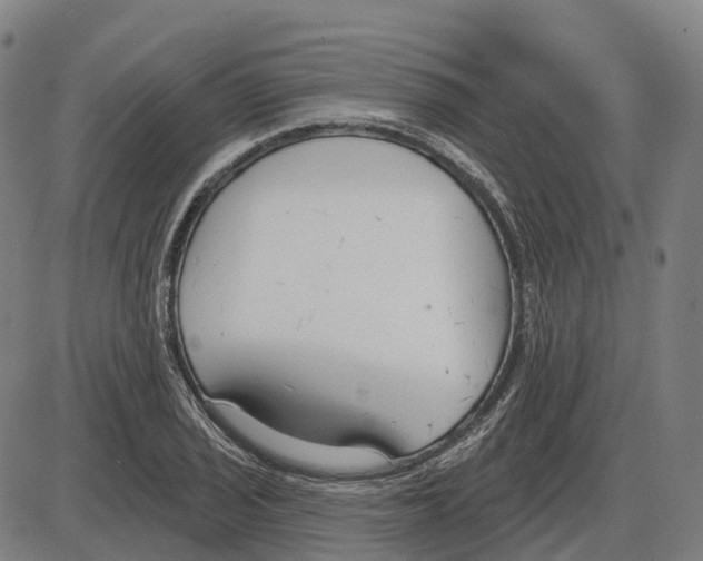 X0000083991029200703161617