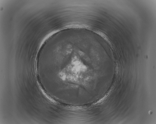 X0000083991030200703161617