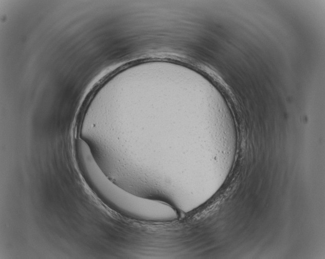 X0000083991032200703161617