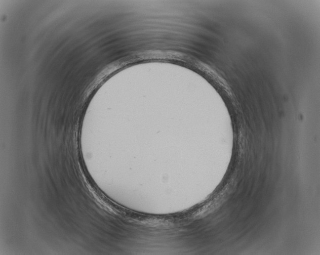 X0000083991033200703161617