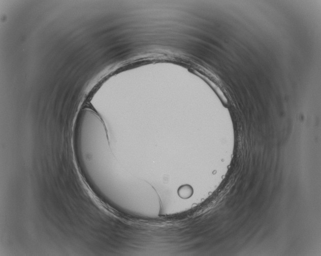 X0000083991034200703161617