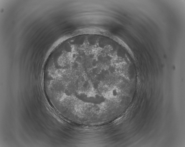 X0000083991035200703161617