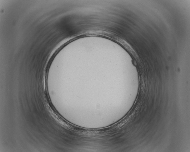 X0000083991036200703161617