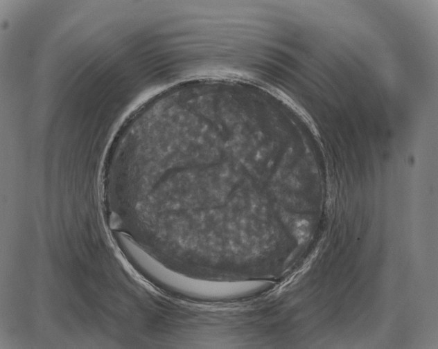 X0000083991037200703161617