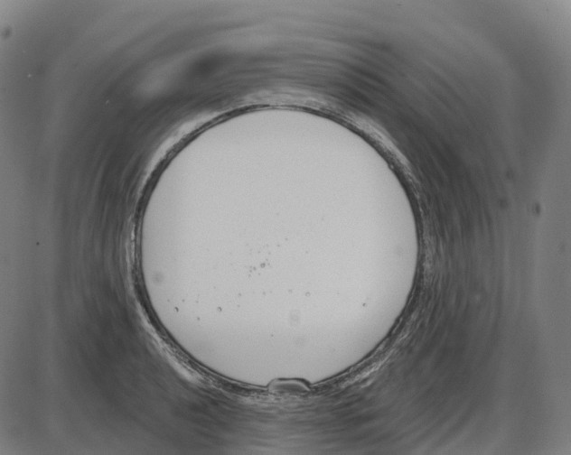 X0000083991040200703161617