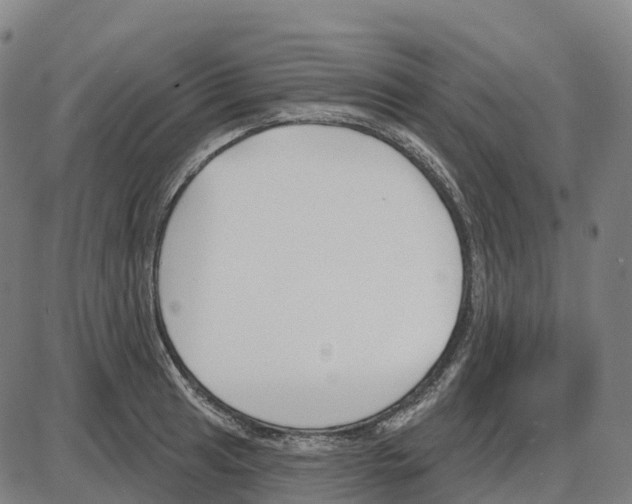 X0000083991041200703161617