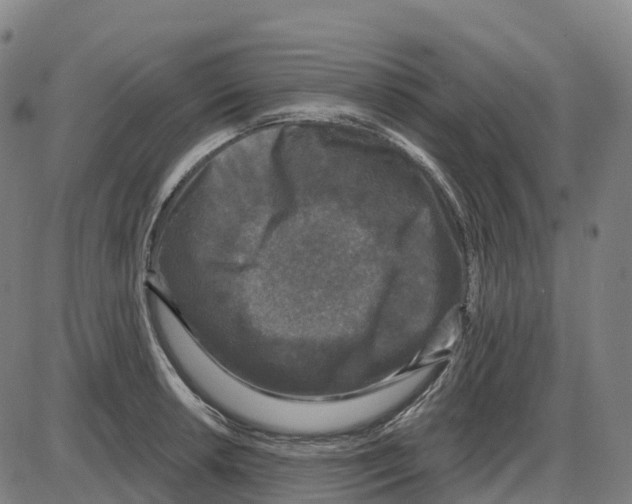 X0000083991042200703161617