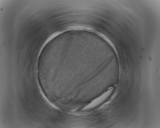 X0000083991045200703161618