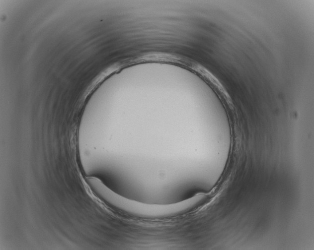 X0000083991049200703161618