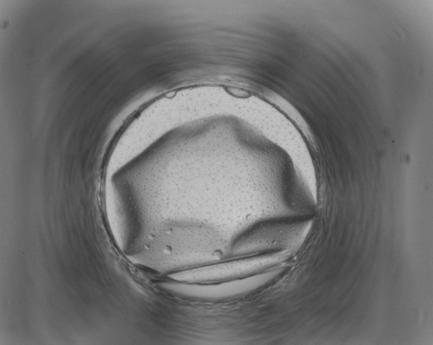 X0000083991051200703161618