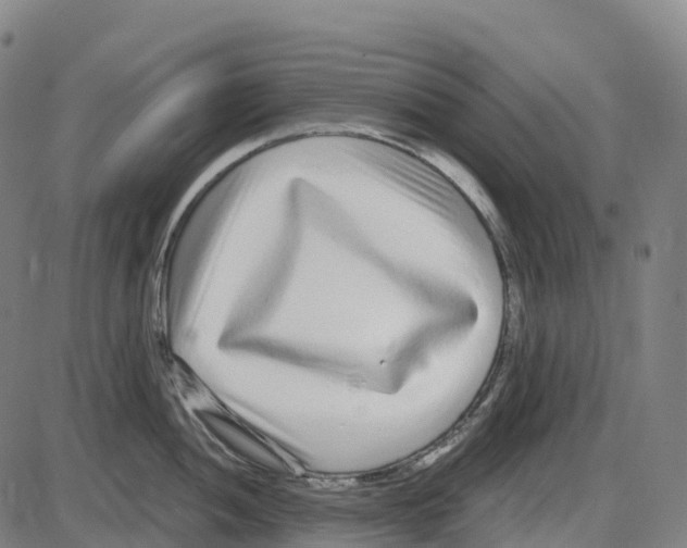 X0000083991052200703161618