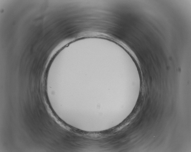 X0000083991053200703161618