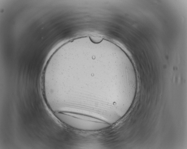 X0000083991056200703161618