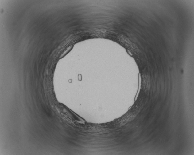 X0000083991057200703161617