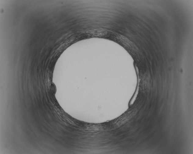 X0000083991058200703161617