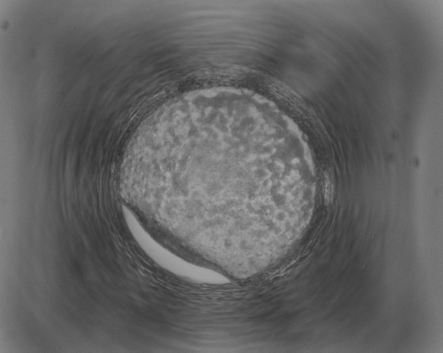 X0000083991059200703161617