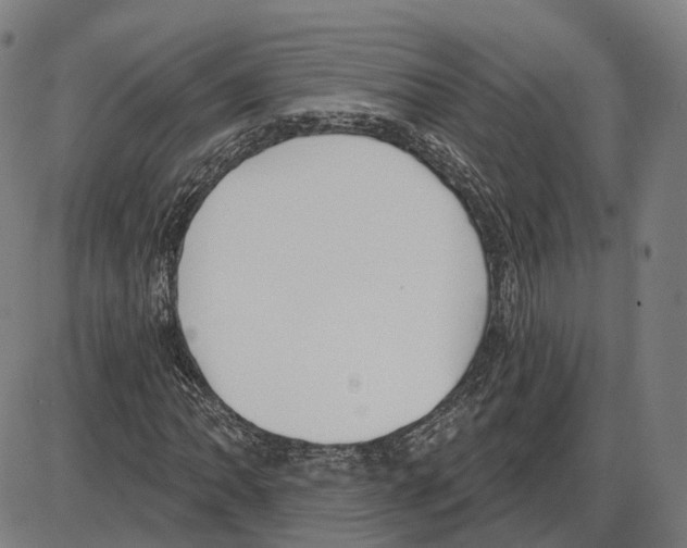 X0000083991062200703161617