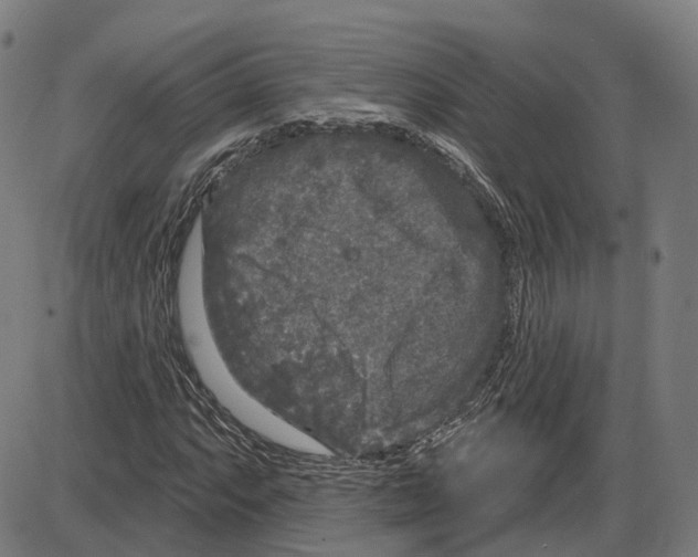 X0000083991063200703161617