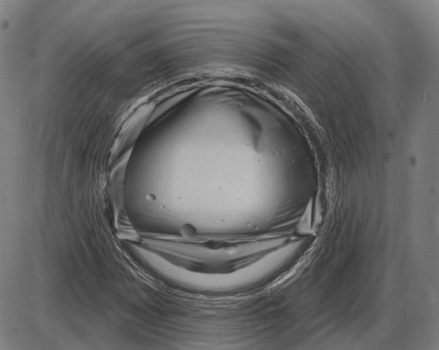 X0000083991065200703161617