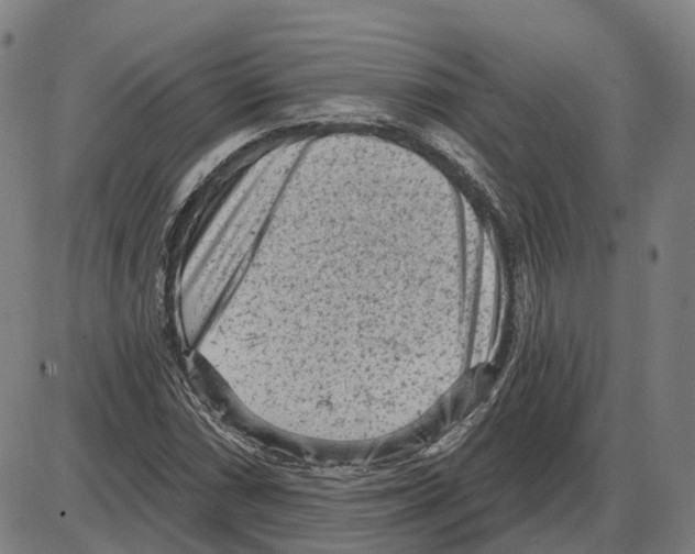 X0000083991066200703161617