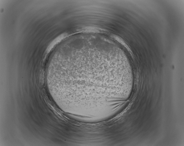 X0000083991067200703161617